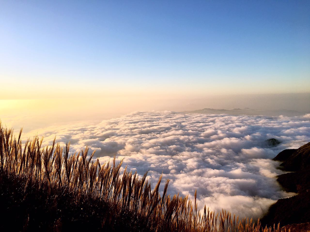 【高鐵往返】12月3-5日 雲中草原 徒步天堂 武功山 看雲海,日出,金色